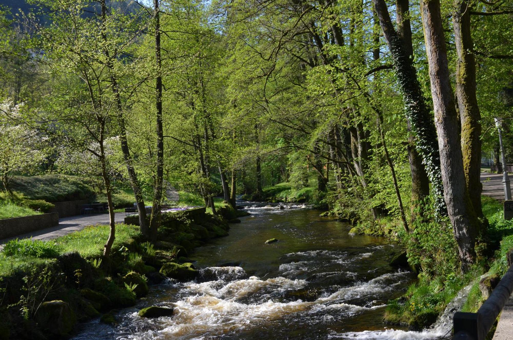 Wildbad Luft Apartment บาดวิลด์บาด ภายนอก รูปภาพ