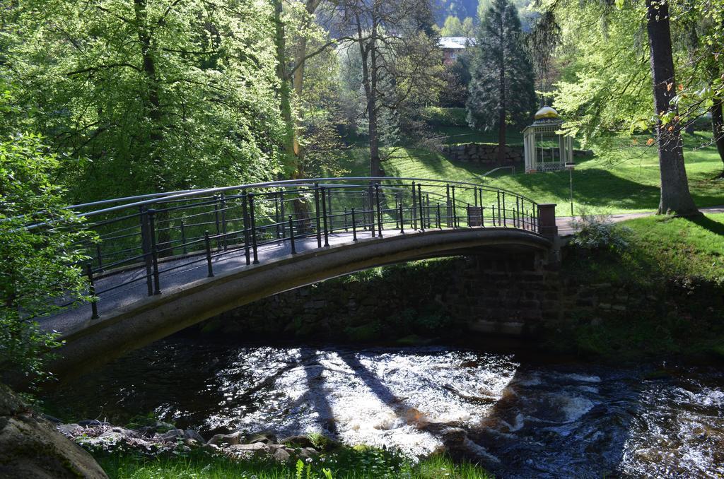 Wildbad Luft Apartment บาดวิลด์บาด ภายนอก รูปภาพ
